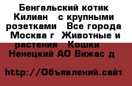 Бенгальский котик Килиан , с крупными розетками - Все города, Москва г. Животные и растения » Кошки   . Ненецкий АО,Вижас д.